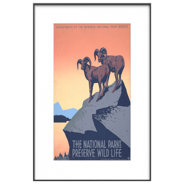 Vintage National Parks wildlife poster displayed on InkPoster Affresco