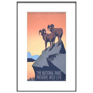 Vintage National Parks wildlife poster displayed on InkPoster Affresco