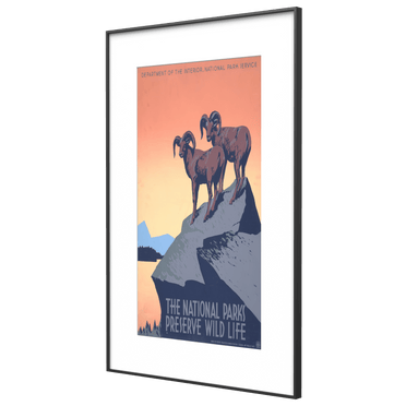 Vintage National Parks wildlife poster displayed on InkPoster