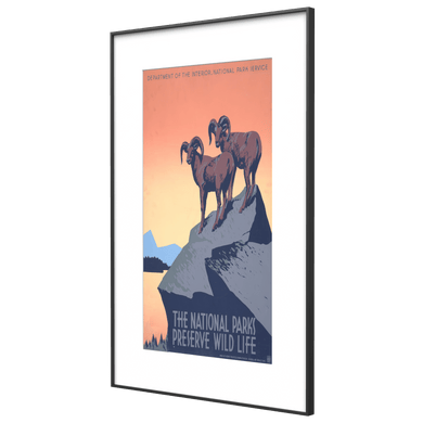 Vintage National Parks wildlife poster displayed on InkPoster